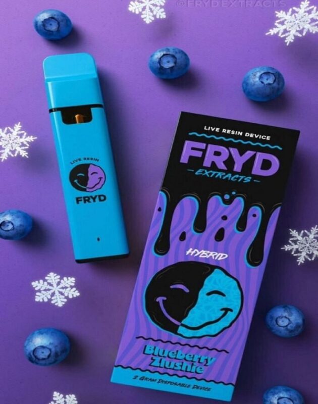 Blueberry Zlushie Fryd 2g Disposable